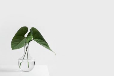 Keeping Things Simple in Life – Move from Noise to Growth